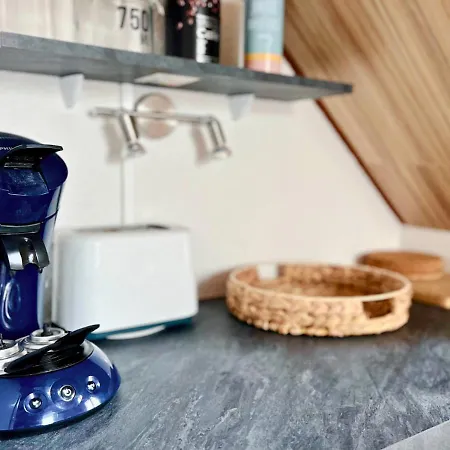 펜션 Duplex La Baleine Bleue *