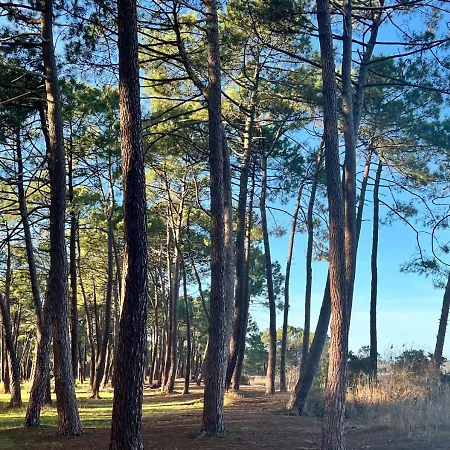 Duplex La Baleine Bleue
