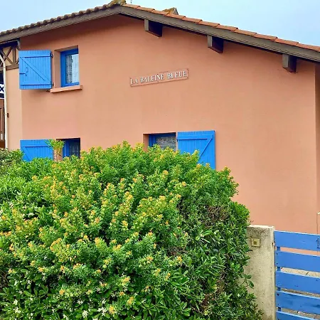 Duplex La Baleine Bleue *