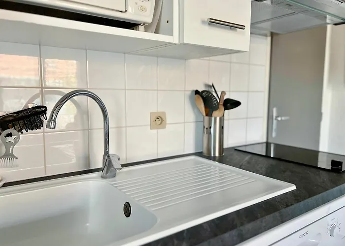 Duplex La Baleine Bleue * ביסקארוס