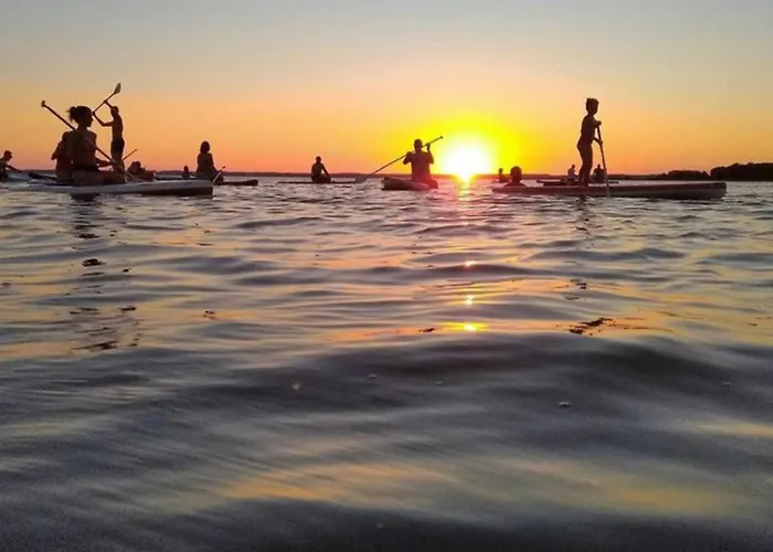 Duplex La Baleine Bleue * ביסקארוס