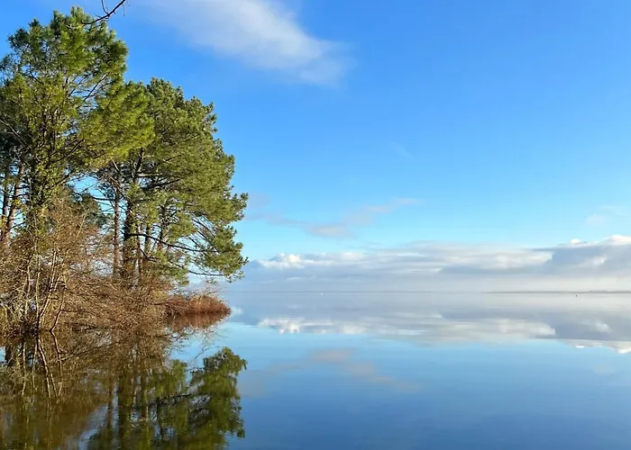 Duplex La Baleine Bleue *