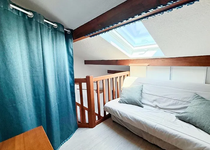 Duplex La Baleine Bleue * ביסקארוס